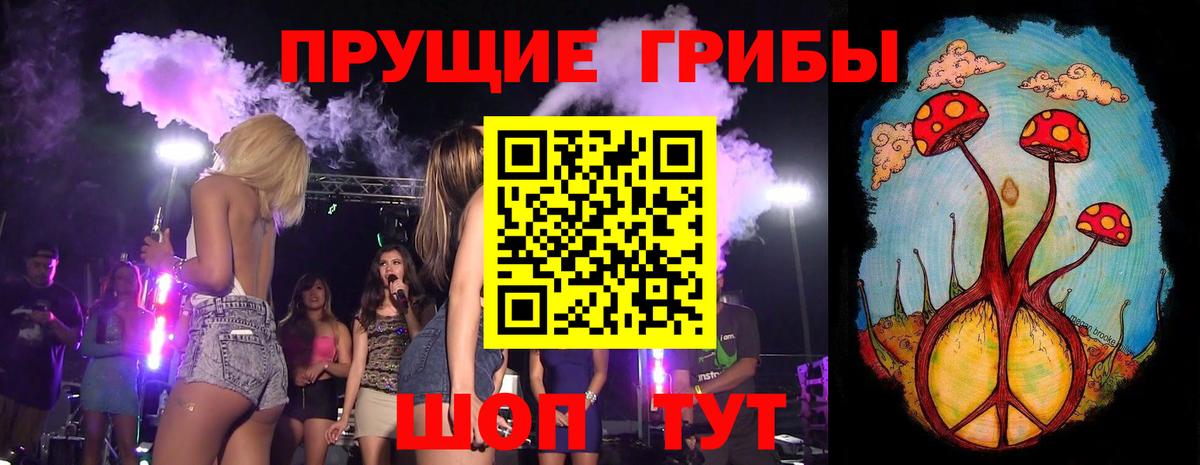 Псилоцибиновые грибы Cubensis  Вход с VPN  купить   Михайловка 